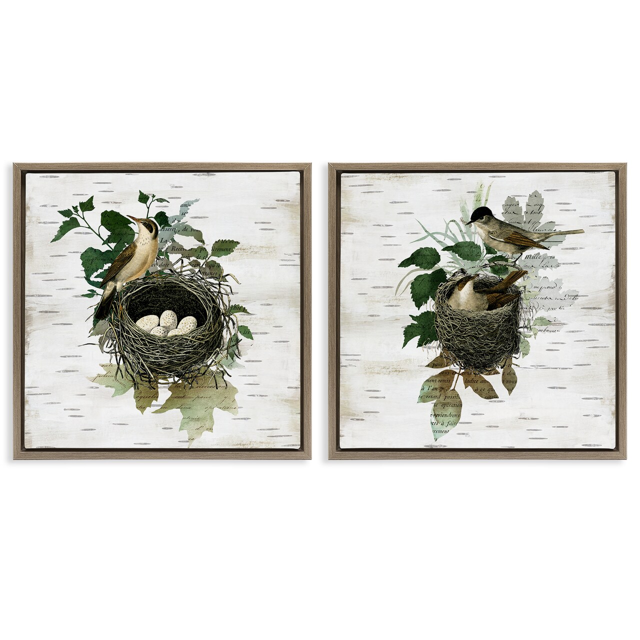 Stupell Industries Rustic Vintage Bird Nests 2pc Floating Frame Set Design by Susan Arnot